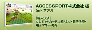 ��������@ACCESSPORT������Зl