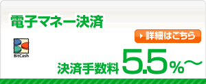 電子マネー決済 決済手数料5.5%〜
