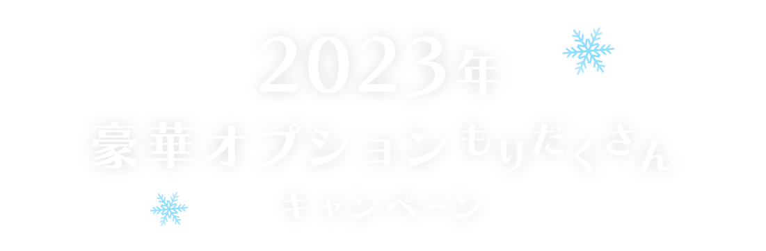 2023年オプションもりだくさんキャンペーン