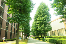 大学・専門学校